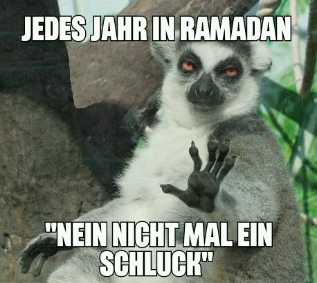 bildmachen_net's tweet photo. Happy #Ramadan! In unseren Workshops ist Ramadan-Content entstanden und der ist ziemlich gut, wie wir finden. Viel Vergnügen damit! 

Infos zu unseren Workshops: https://t.co/hgL2GwQdjk
Weitere Memes in der Hall of Meme: https://t.co/7qg1oPDB1d

#bildmachen #hallofmeme https://t.co/VP7sA5JAlL