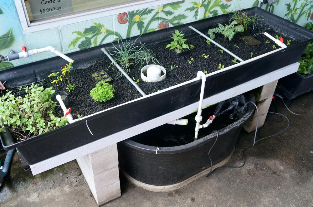 karol samah 2 (@balsamrere) on Twitter photo 