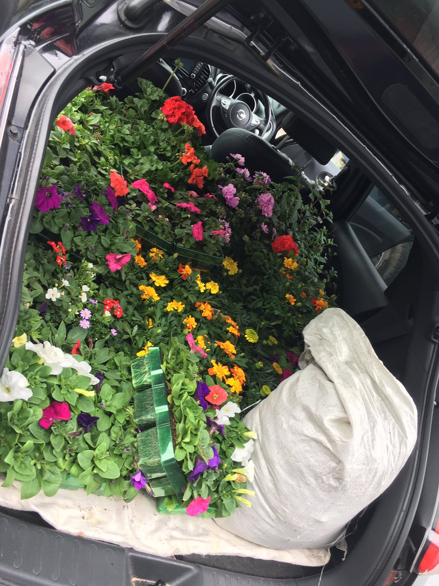 Blown away by the generosity at Happy Plants! Thank you so so much 😊 (there are double layers of plants in that boot!) #communitysupport @Shoreside1234 @RainbowEduMAT @homeofhappyplants #happyplants