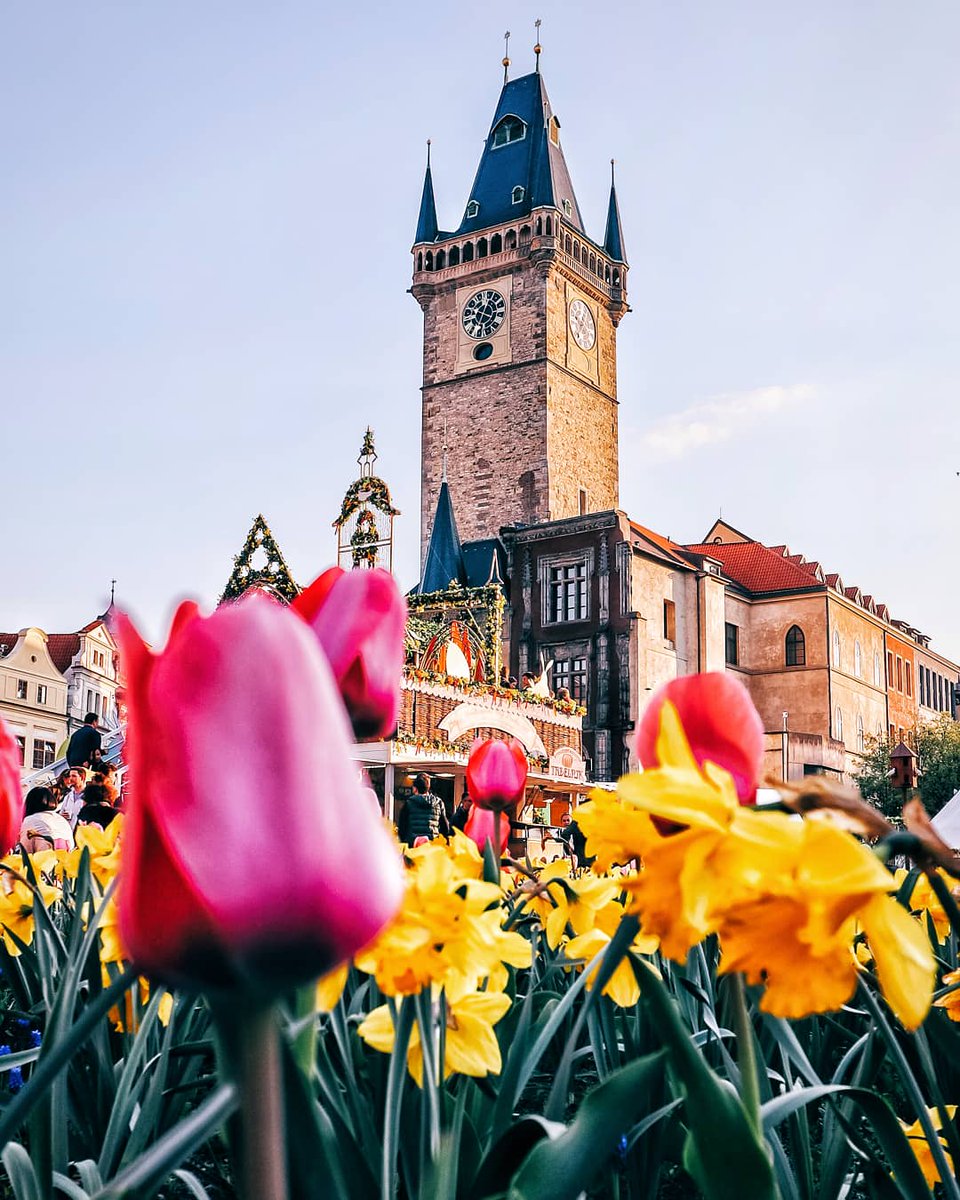 Ces 2 photos de la place de la vieille-ville à Prague pour ce #LundiFleuri 🌷🌻
Bonne semaine à tous 😃.
#prague #voyage