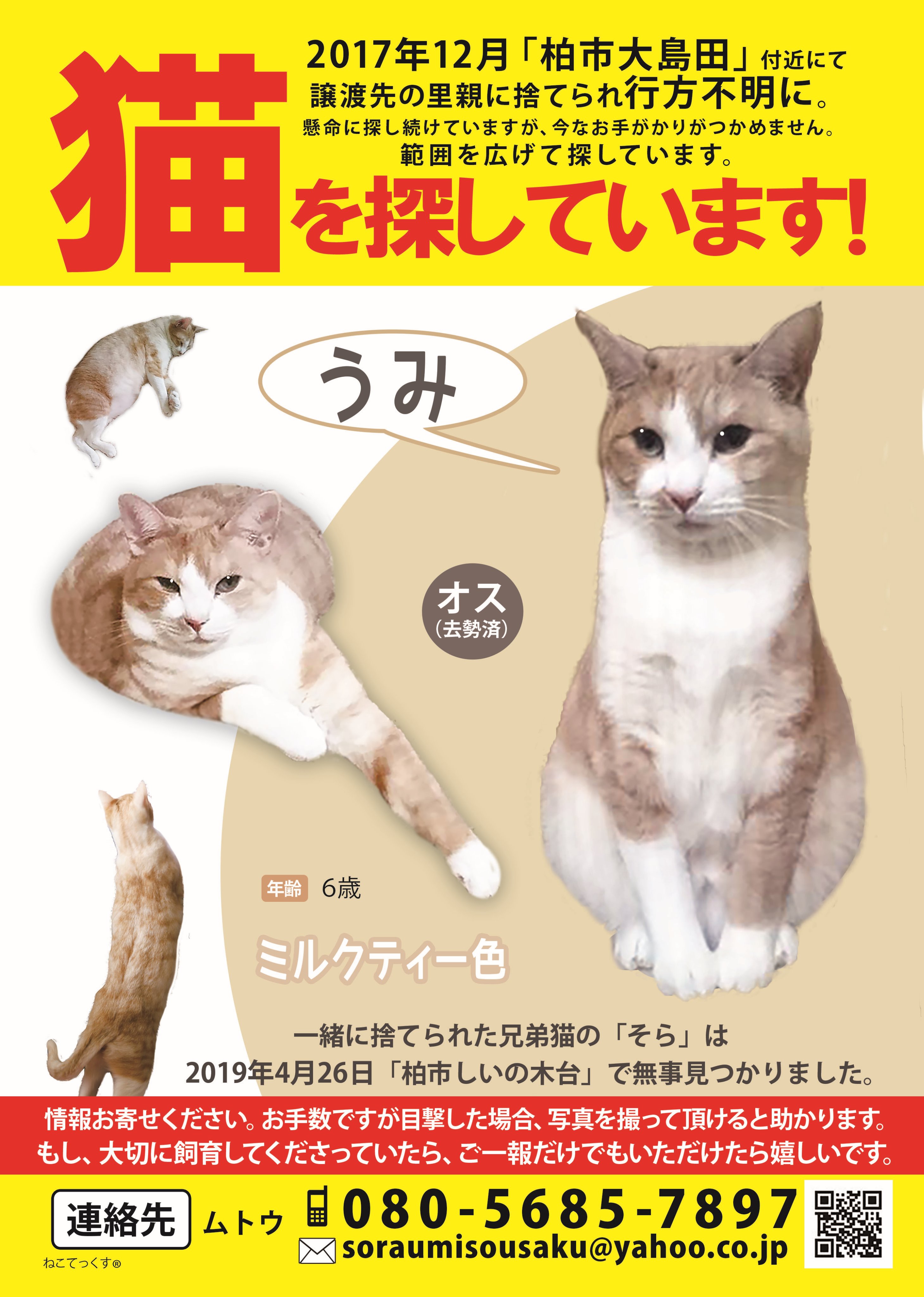 うみ捜索中 拡散お願いします Pochi Neko12 Twitter