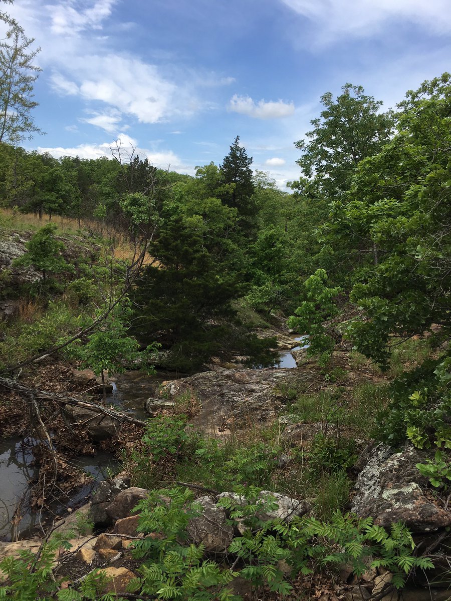 OutsideOklahoma's tweet photo. Osage Hills State Park. One of the  best hikes in the park is the Red Trail marked as a bike trail on the east side of the road just past Lookout Lake. The park office recommends  hiking the trail before you decide to bike it. #osagehills #oklahomahiking #oklahomaoutside https://t.co/Fa7PqHig0Q