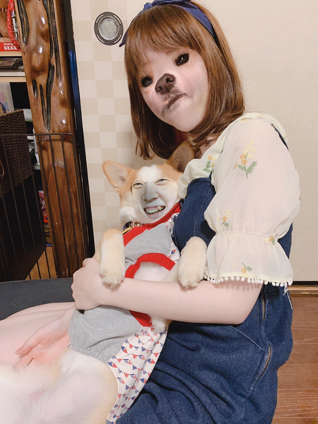 تويتر 柴ーギー Nico على تويتر ニコとおねぇちゃんがアプリで顔交換したよ 人面犬 犬面人 T Co F7aarfumdi