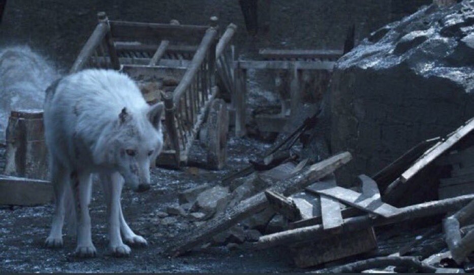 gracehuntx's tweet photo. Two who deserved so much better💔#GameofThronesseason8episode4 #GamefThrones #Ghost https://t.co/ALZX5E2K3z