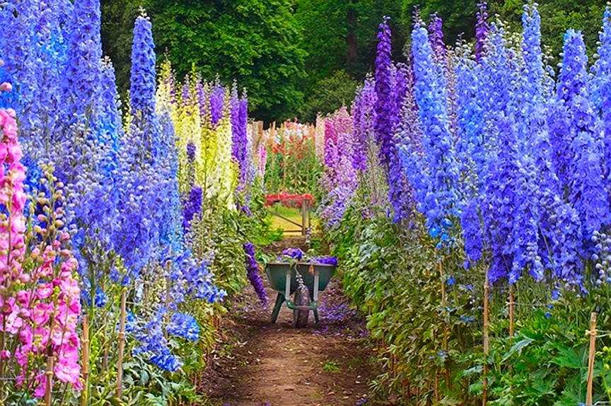 You find a stranger sprawled in your garden, by the delphiniums. He is in desperate need of help. He can only drink water and beg for secrecy. Your response? AN UNPRESENTABLE GLORY I'd love to hear your answers. #gardens #fiction #romance #politics #christianlit