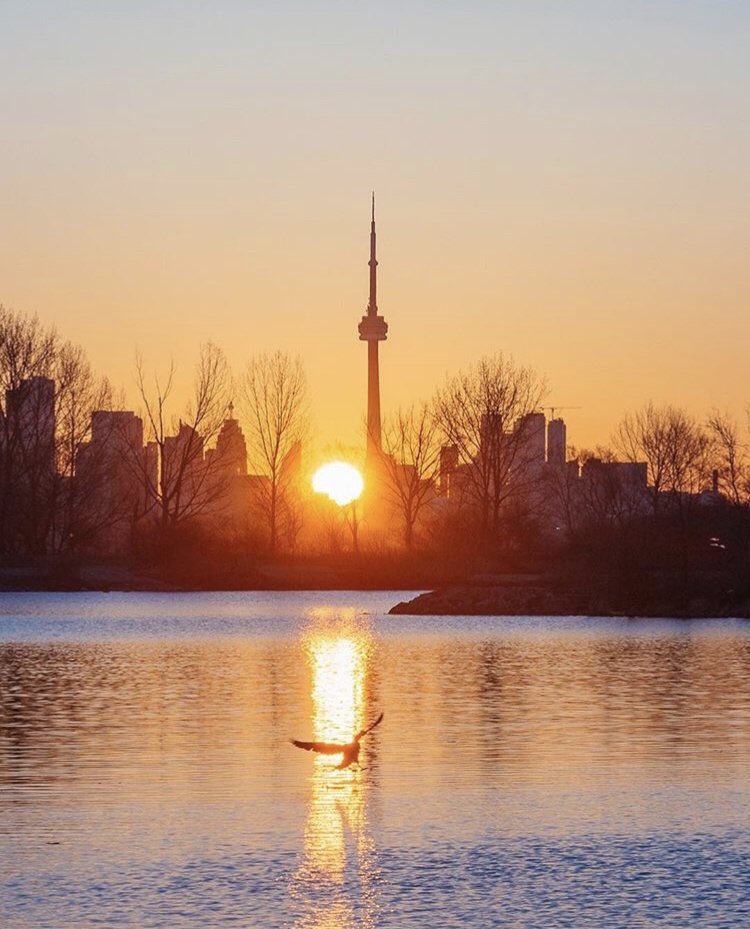 Toronto's tweet photo. A glorious start to the new week🌞; Sunny in #Toronto with a High of 20°C https://t.co/WZSeCb48ZN