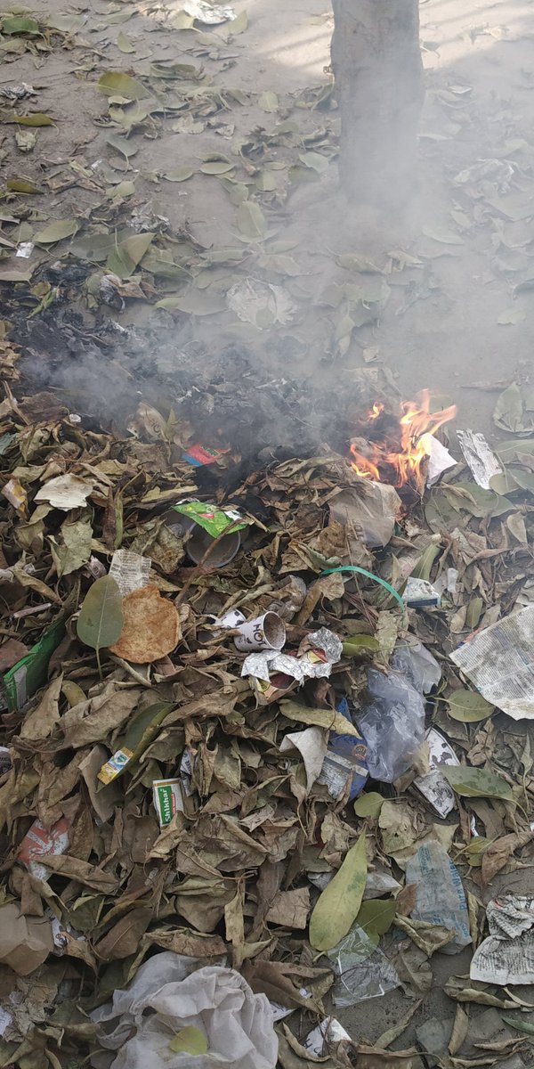 @NoidaAuthority @CMOfficeUP @sspnoida @dgpup @spcitynoida @dmgbnagar @CPCB_OFFICIAL @MeenakshiSTOI Rampant Encroachment in sec-51by Howkers & venders, even they burn the waste materials, disposalplates, dryleaves etc.Officers of Noida Auth. are requested pl. help to removed them