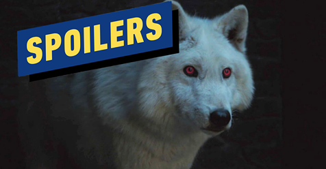 IGN's tweet photo. Good boy of the year, Ghost, deserved better last night. #GameofThrones #ForTheThrone https://t.co/TSP6tqmxVB https://t.co/Ep6ZEURW5t