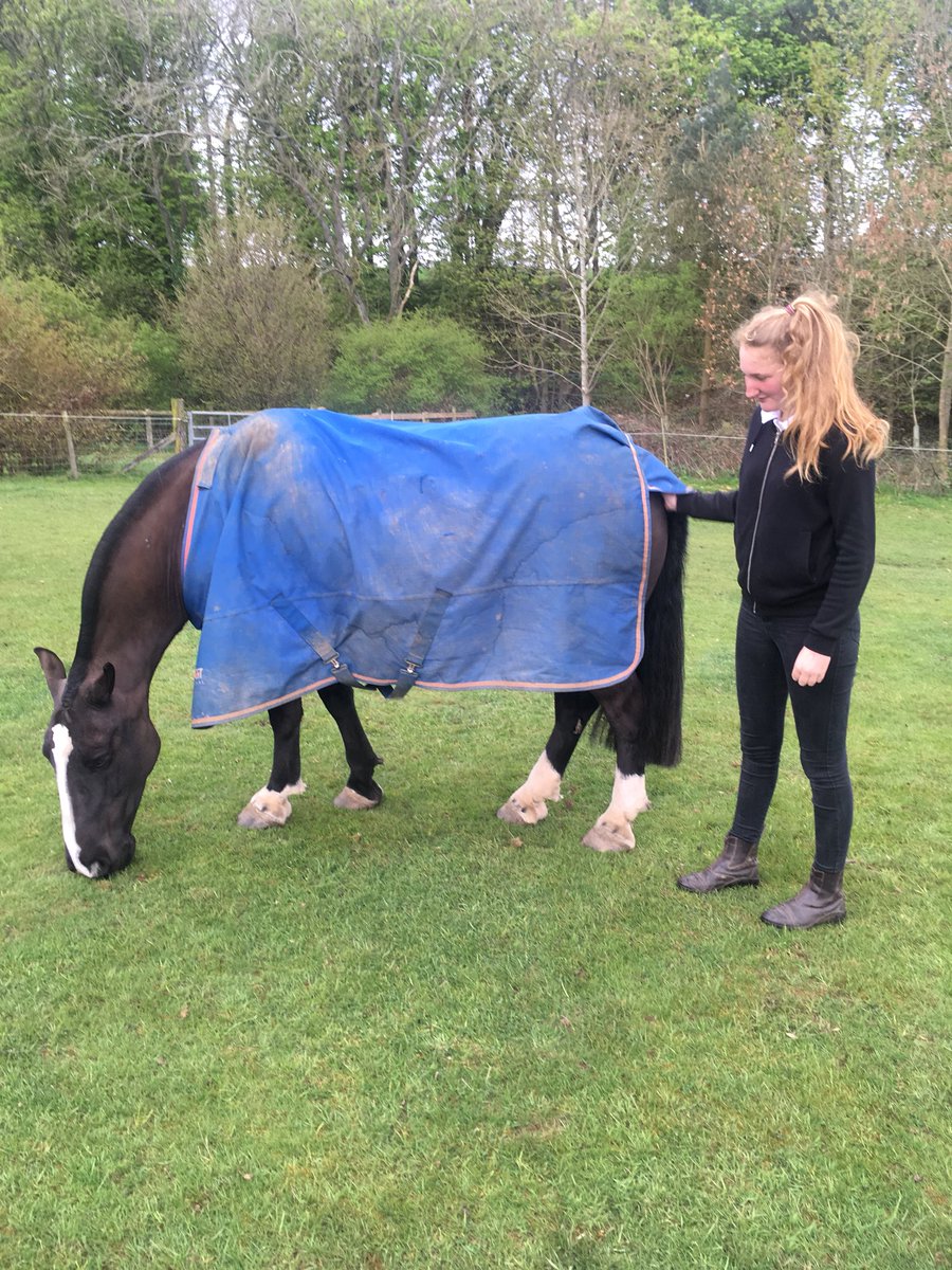 dee130882's tweet photo. Never seen a happier pony than on our visit to @PegasusCentre to visit Billy! Excited to hear he will be taking part in regionals with 5 riders from Morpeth Group RDA.  Chloe needs to stop growing she even made Jonny look like a pony! Great lesson thank you Laura 😍 https://t.co/5rNcN8PTgM