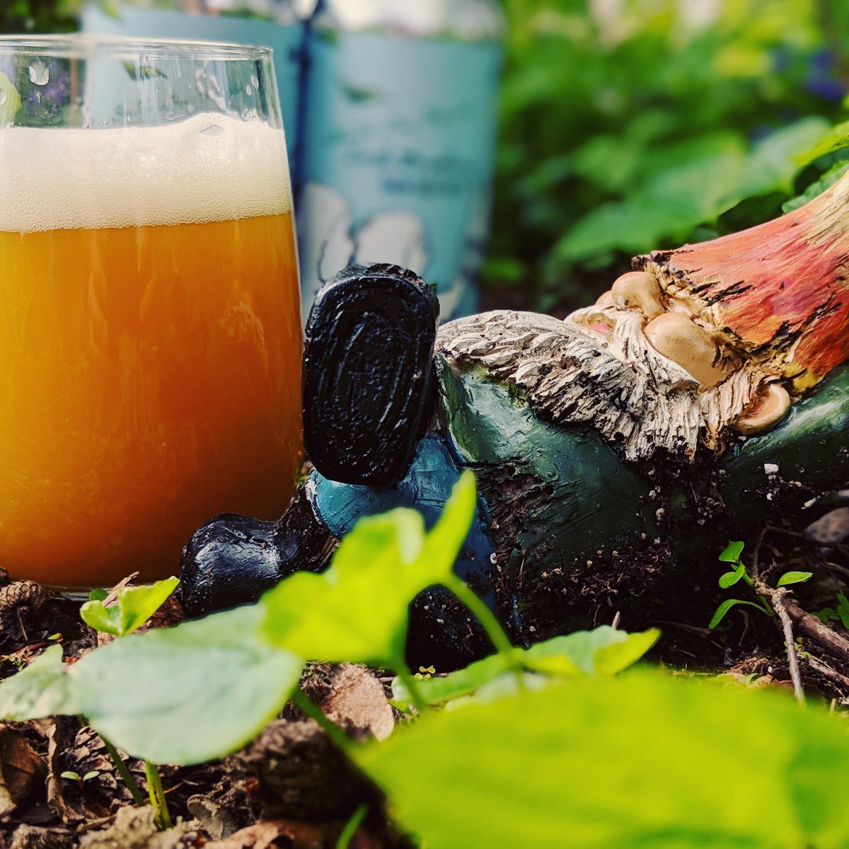 NEW THIS WEEK!!! Double Dry Hopped Little Brother Double IPA. It's good. You should try it