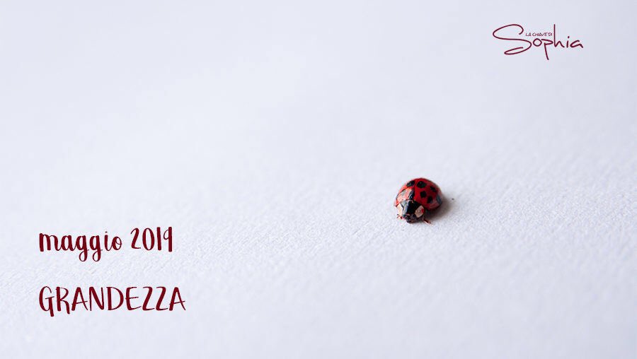 ChiaveSophia's tweet photo. La parola con cui iniziamo questo mese è #GRANDEZZA: dal 5 maggio manzoniano che celebra la morte di Napoleone fino al re fittizio di "Viva la vida" dei Coldplay, entrate con noi in questo viaggio nelle arti!

Quale opera vi fa pensare alla grandezza? —> https://t.co/MtuyPscNr6 https://t.co/FBwN0nruJo