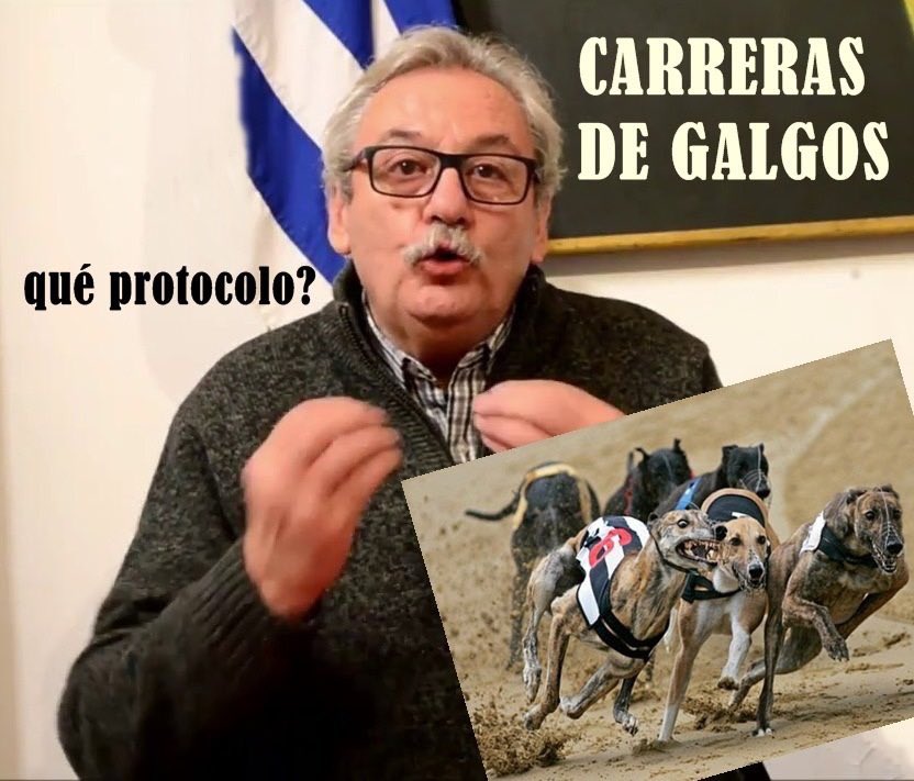 GalgoLibreUY tweet media