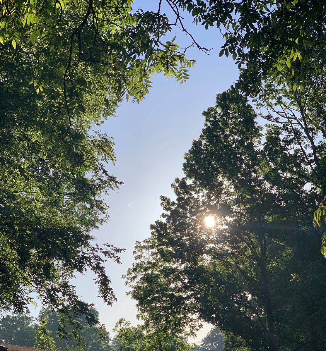 sokamoto's tweet photo. Good morning, Columbus! #ColumbusGA #mydailyphoto #05/06/2019 #2019project #beautifulsunrise #cloudlesssky #uplaterthanusual #warmingup #dampgrass #birdsareloud https://t.co/YlmtIv8trM