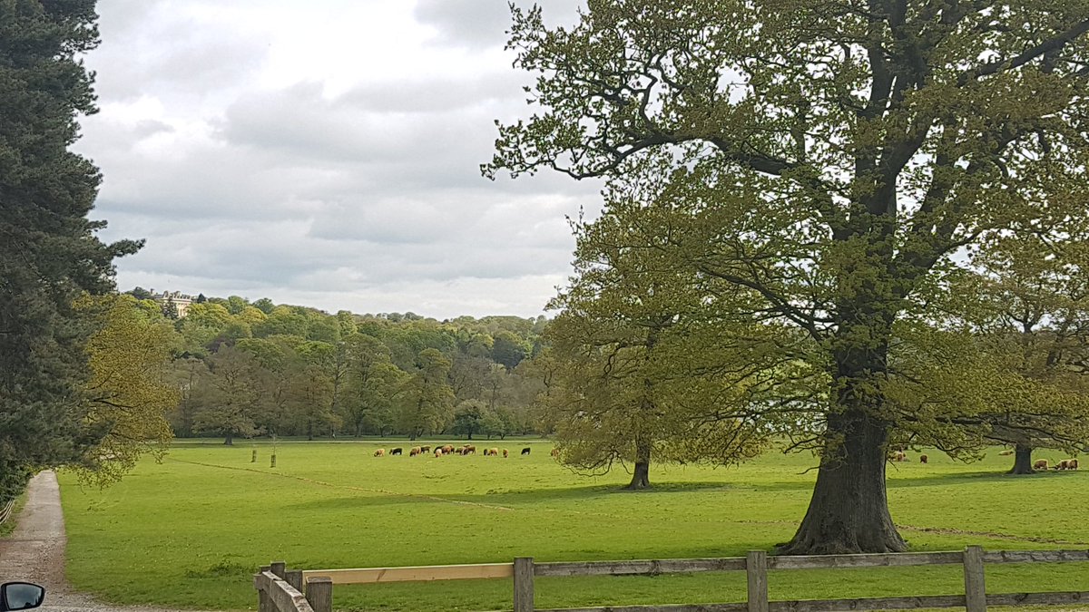 Awwwww goodbye Carr Cottage, you've been a wonderful host for the past 3 nights. <a href="/HarewoodHoliday/">Harewood Holidays</a> you have a cracking little (well quite big actually) holiday let there! I'd highly recommend it to anyone looking for a relaxing place to stay.