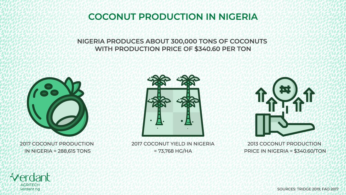 Nigeria produces about 300,000 tons of coconuts with production price of $340.60 per ton. 🥥

#agriculture #agritech #foodsecurity