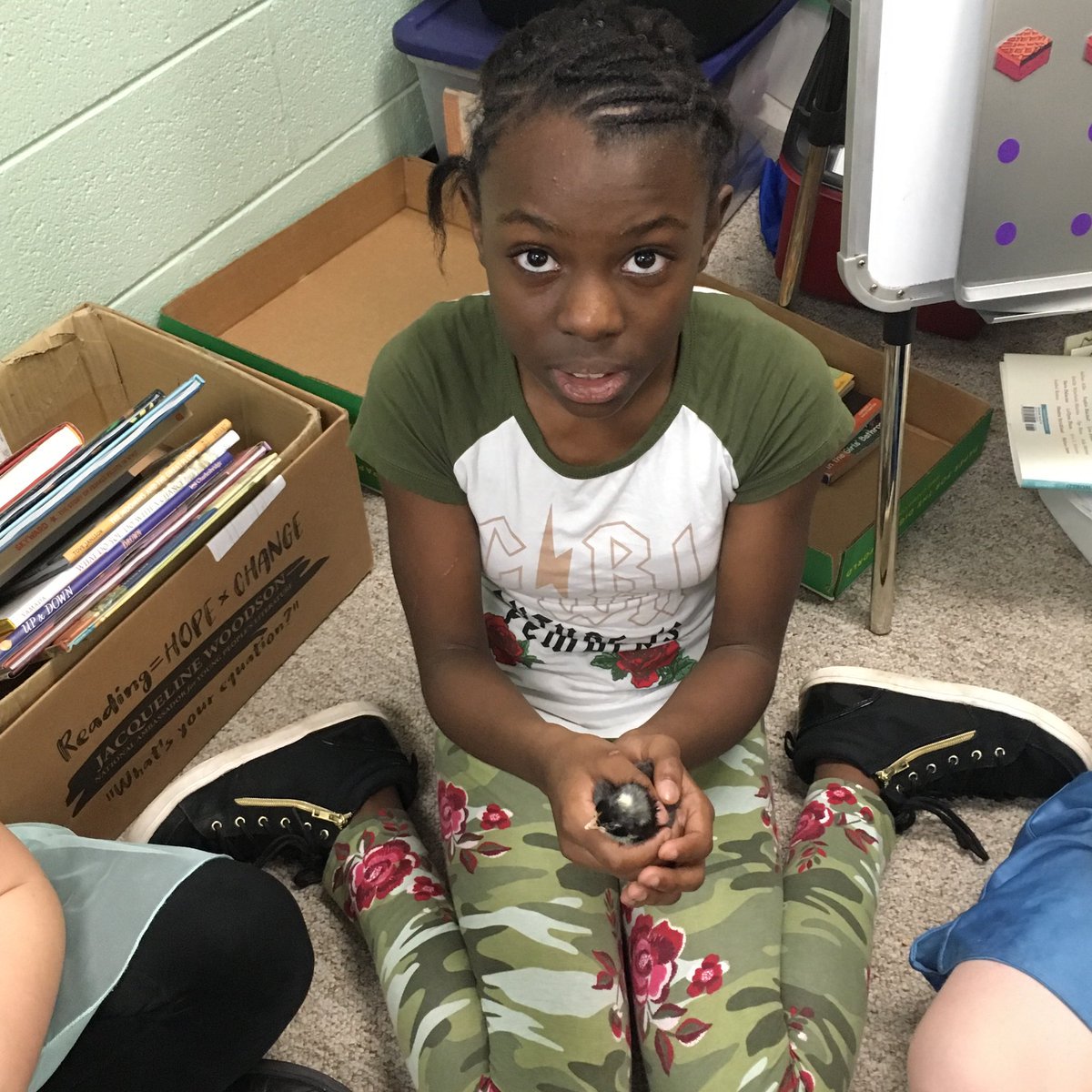 DPS_170's tweet photo. Both Washington and Madison Schools have been hatching baby chicks. #gopurple @WashSchool @dixonmadison170 https://t.co/SYdG2FlCS0