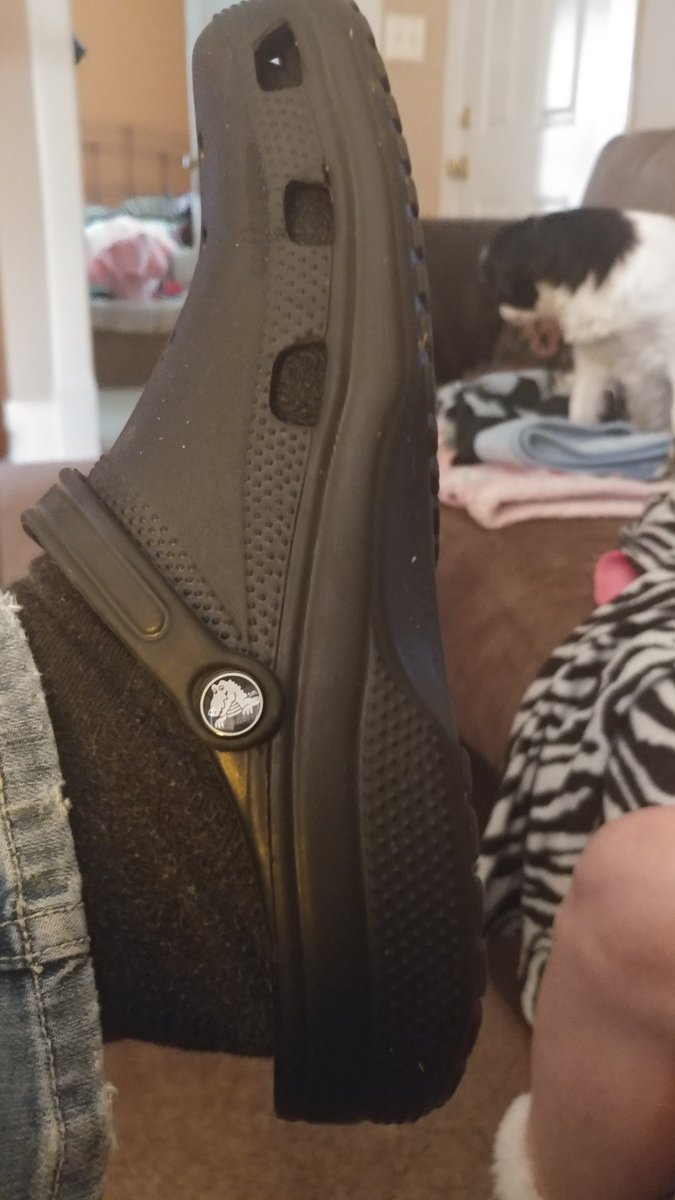 westat2's tweet photo. #CrocMonday @LeaVendetta @RikiRachtman @HollyS42 https://t.co/VXckRhVKdV
