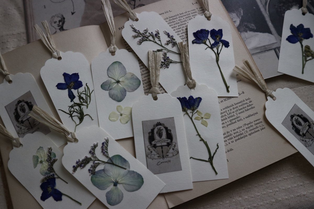 まくら くらま Lineスタンプ出しました Twitterren イラスト本 Botanical Disease のサンプル画像です 花屋を営む ヴェール が 植物病 と患者たちを記録した日記をイメージしました 先着で押し花のしおりもお付けします