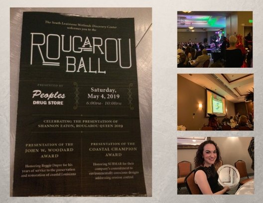SubmarInc's tweet photo. Thank you to the South Louisiana Wetlands Discovery Center for honoring us as your Coastal Champion this past Saturday at the #RougarouBall! We appreciate all you do for our area and enjoy working with you to preserve our Louisiana coast. #submar #erosioncontrol #submarinc https://t.co/zK9nJgL3bI