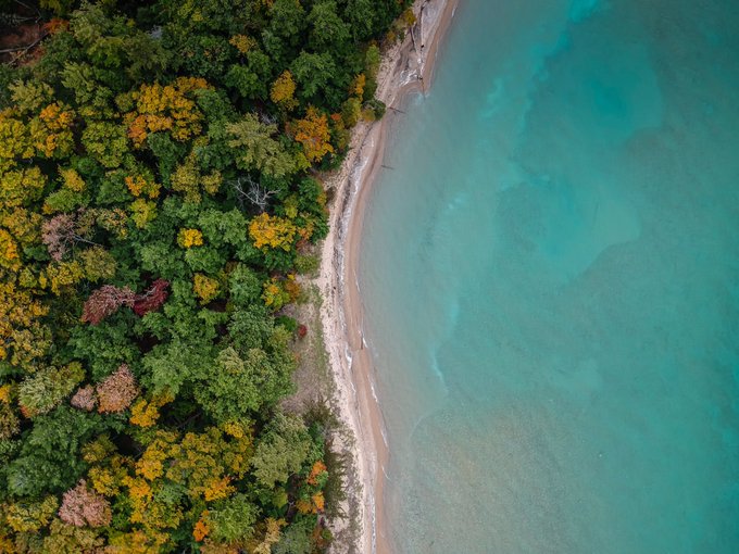 View image on Twitter