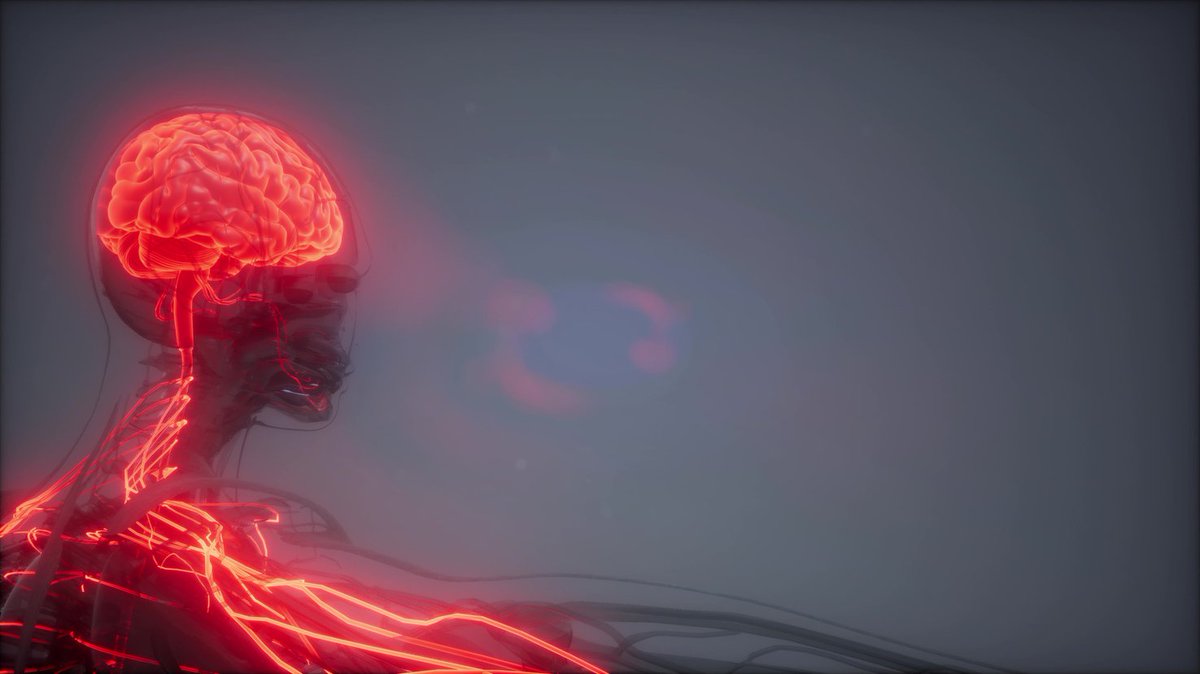 Een te laag cholesterolgehalte in het bloed verdubbelt de kans op een hersenbloeding. Dat schrijft de Volkskrant op basis van een nieuwe wetenschappelijke studie. Lees hier verder: bit.ly/2PQqmUy