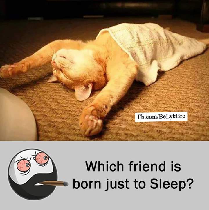 SiluvaM_'s tweet photo. #SelfMode https://t.co/DvqGEEpuHk