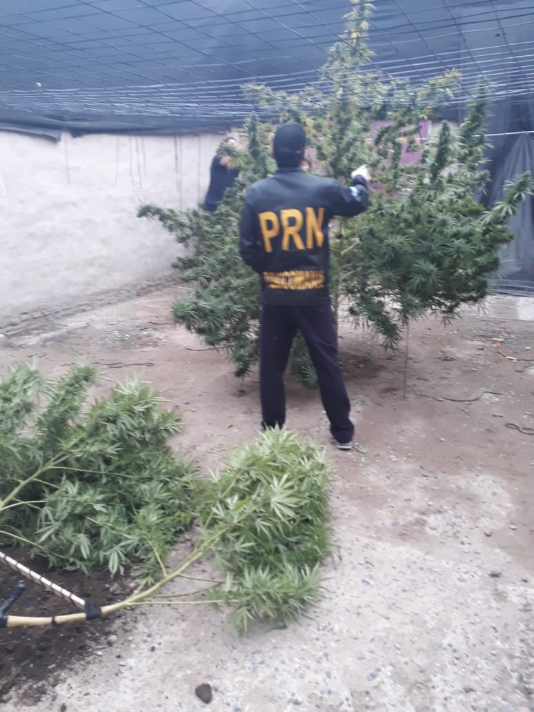 Ministerio de Seguridad y Justicia de Río Negro tweet media