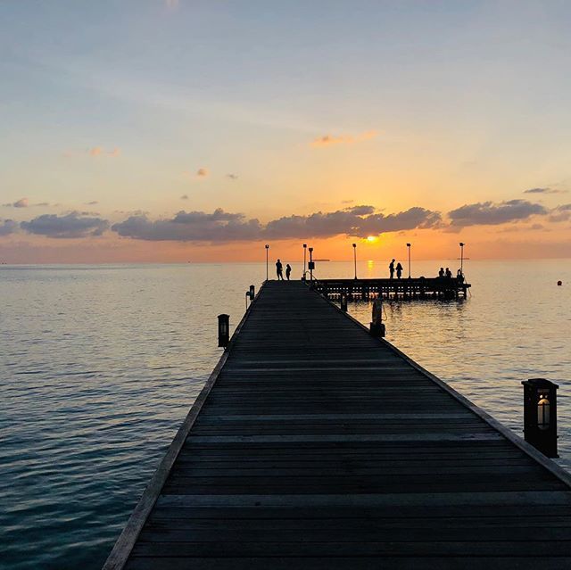 FunIslandResort's tweet photo. Sunsets 😍
.
.
.
#funislandresort #vacations #maldivesislands #maldivesresorts #instagram https://t.co/u4zn0v4ZrC https://t.co/G52TpbbQHU