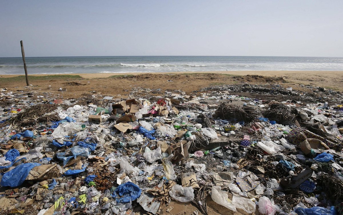 RaiNews's tweet photo. Allarme #Onu: una specie su 8 sarà estinta a breve. Alla luce di questi dati numerosi scienziati affermano che la Terra è all'inizio della sesta #estinzione di massa della sua storia,  la prima attribuita all'uomo e alle sue attività → https://t.co/NJLkDBs4U8 https://t.co/8CYNtXFS3b