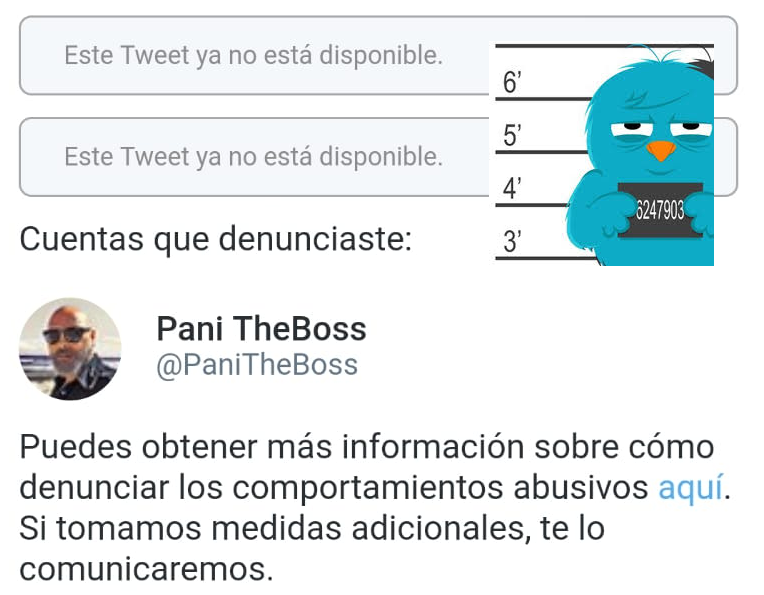 LaReportadora's tweet photo. Si PaniTheBoss  incumple las normas de Twitter, que vaya aprendiendo.
#LaReportadora https://t.co/hJC2nZQRB9