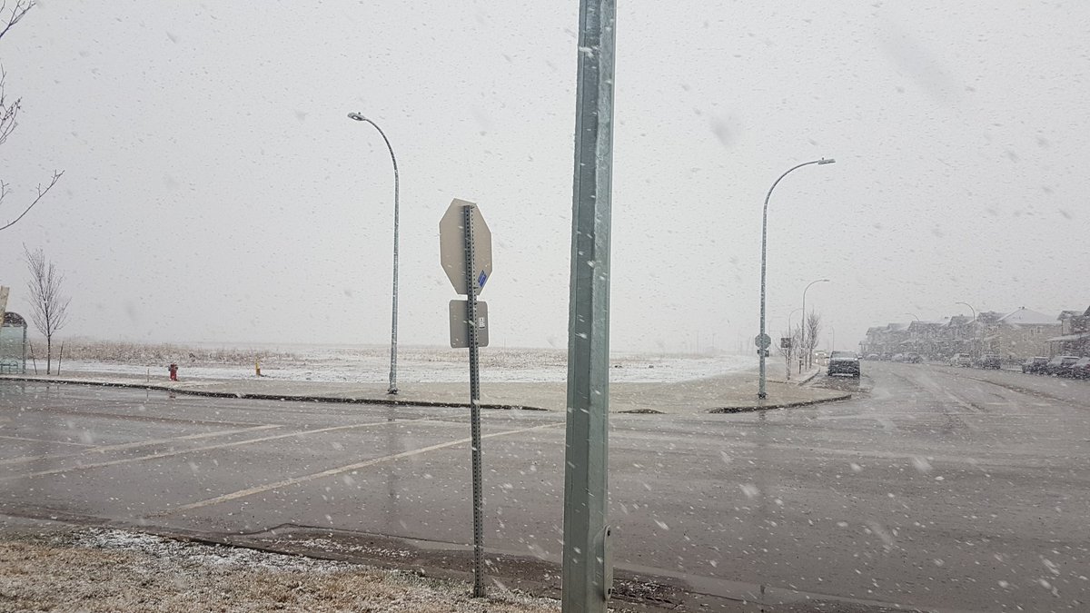 Ana1Sima's tweet photo. May 6th in Winterfell.
#winterneverleft #summerisnevercoming #fml #pumpkinspice https://t.co/fJwQGh4EIT