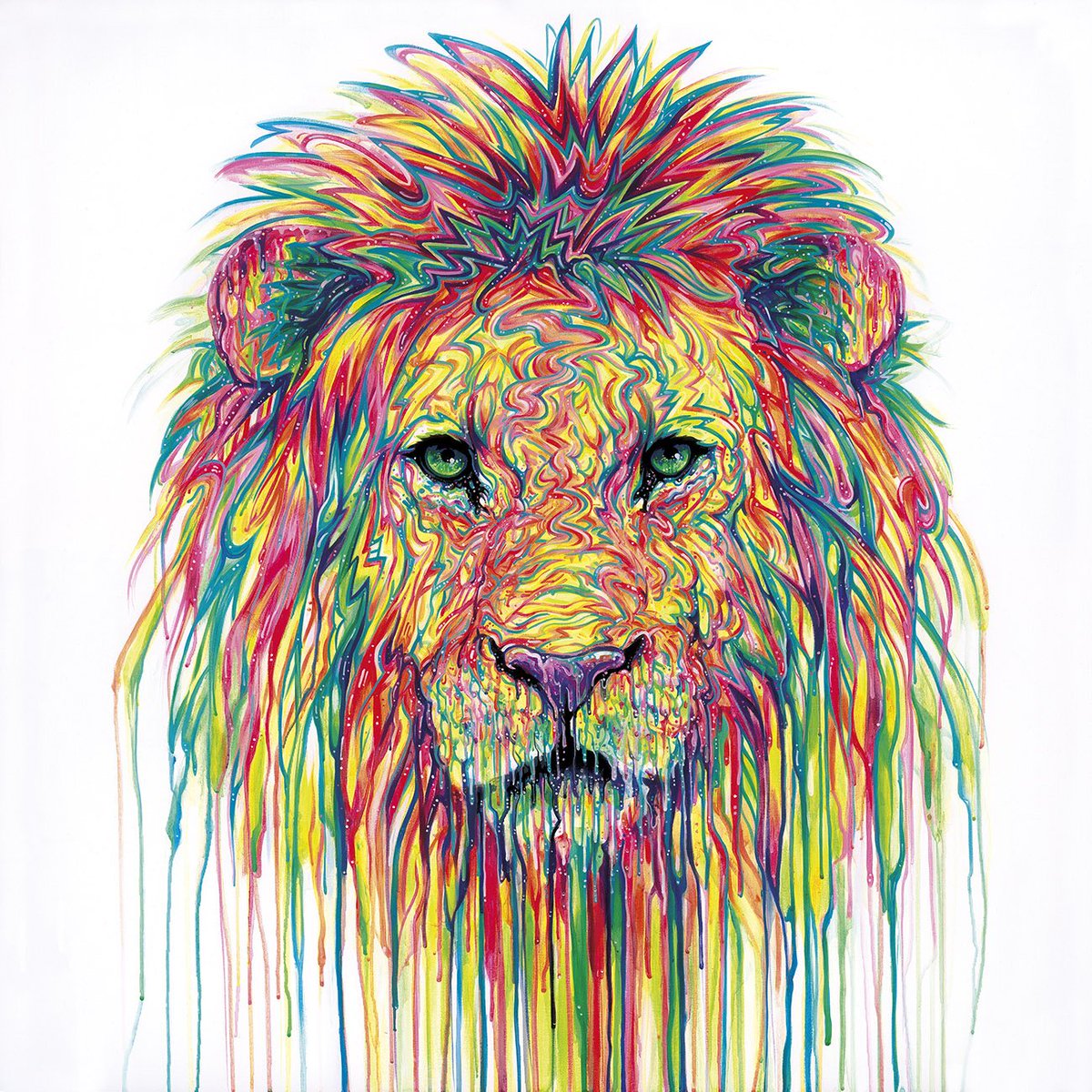 castlemailbox's tweet photo. Visit our Mailbox gallery and experience wildlife like never before with Primal Colours by @OxleyBob #colour #portraits #wildlife #vibrant #painting #pop #animals #love #collection https://t.co/FEhyo6XwLQ