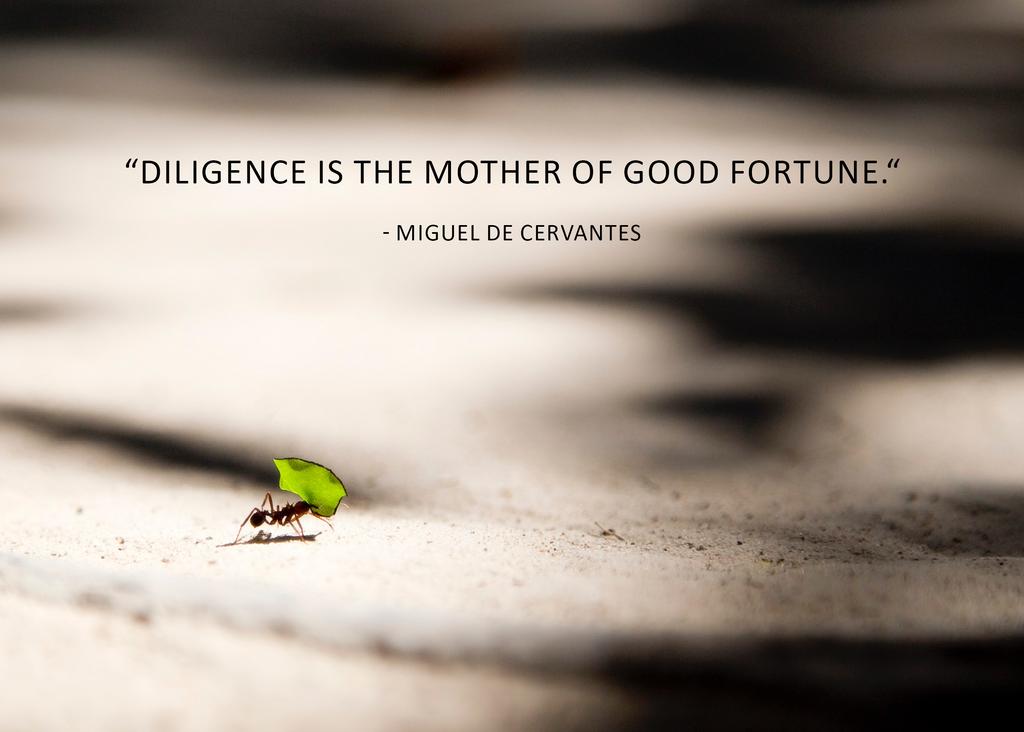 AlphaKORGroup's tweet photo. Diligence is the mother of good fortune. - Miguel De Cervantes
Showing up and being consistent is what leads to real results! What have you accomplished due to your determination and practice? #quoteoftheday #motivation #success #inspiration #quote #motivationalquote #alphakor https://t.co/dWVZQNhdyb