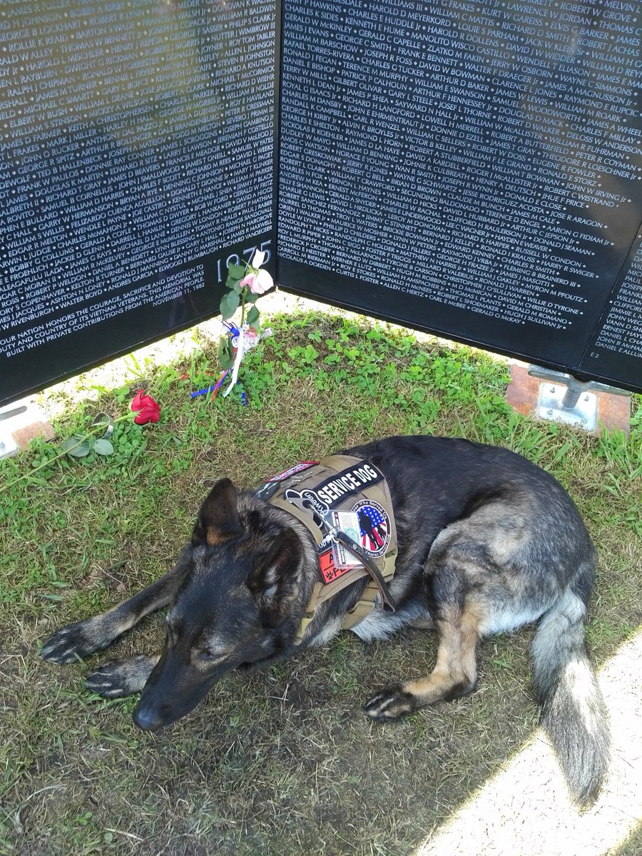 kweenmike's tweet image. had an amazing day at traveling Vietnam Healing Wall