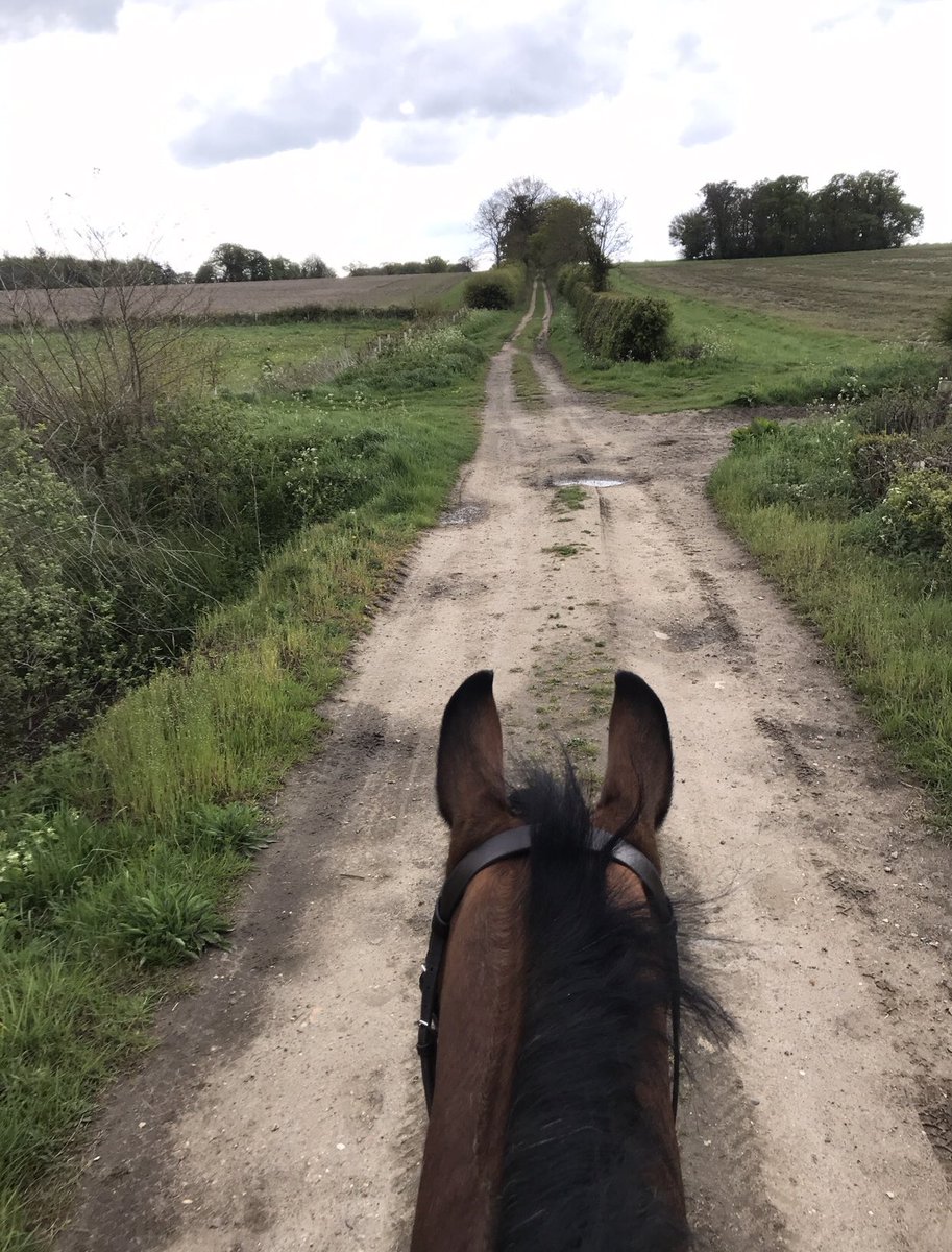 What an afternoon! A great pre Royal Windsor trip out to the beautiful <a href="/SotterleyEstate/">Sotterley Estate</a> for an afternoon of hacking! We will see you when we’re back guys!! 👍🏻