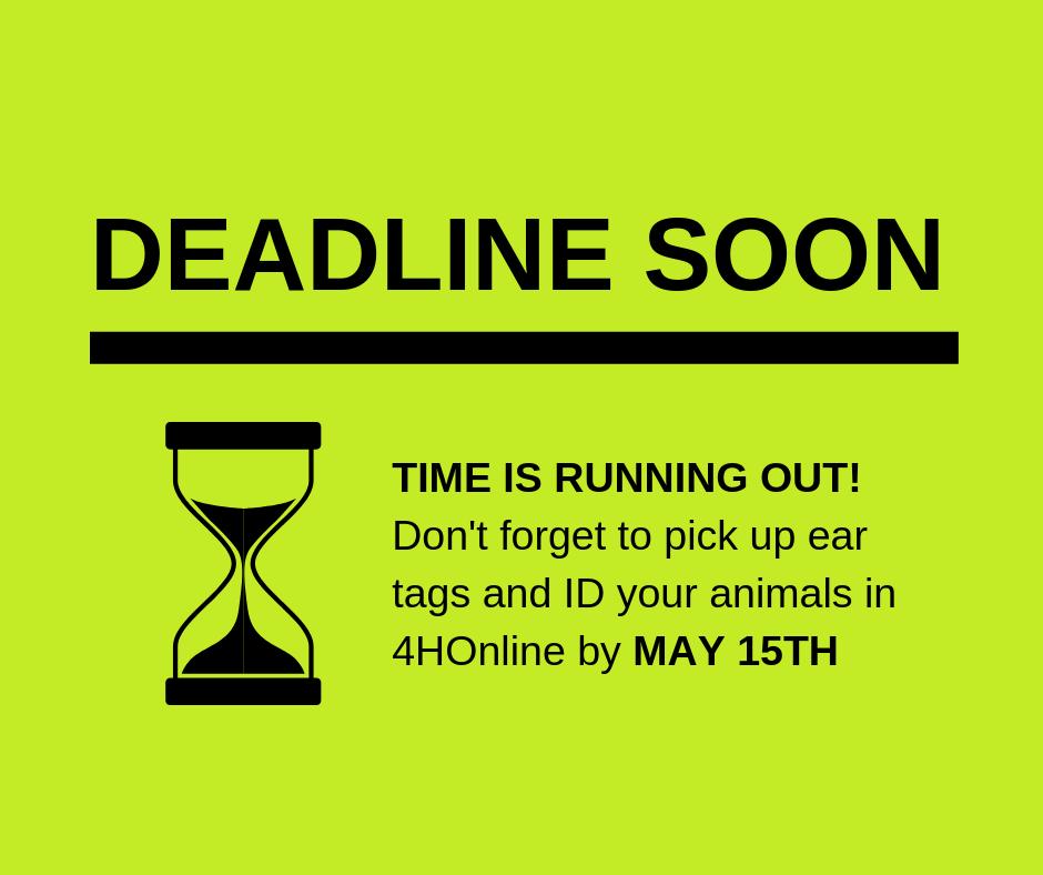 Stearns4H's tweet photo. Livestock ID deadline is coming quick! https://t.co/9bWY4IYywm