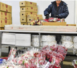 AirlinesDotOrg's tweet photo. Mom deserves the best - including flowers shipped fresh from Latin America to her local florist. Happy Mother's Day! @UPSAirlines https://t.co/IhEU0qxzJ7