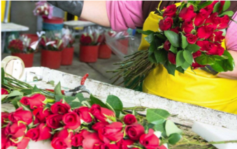 AirlinesDotOrg's tweet photo. Mom deserves the best - including flowers shipped fresh from Latin America to her local florist. Happy Mother's Day! @UPSAirlines https://t.co/IhEU0qxzJ7