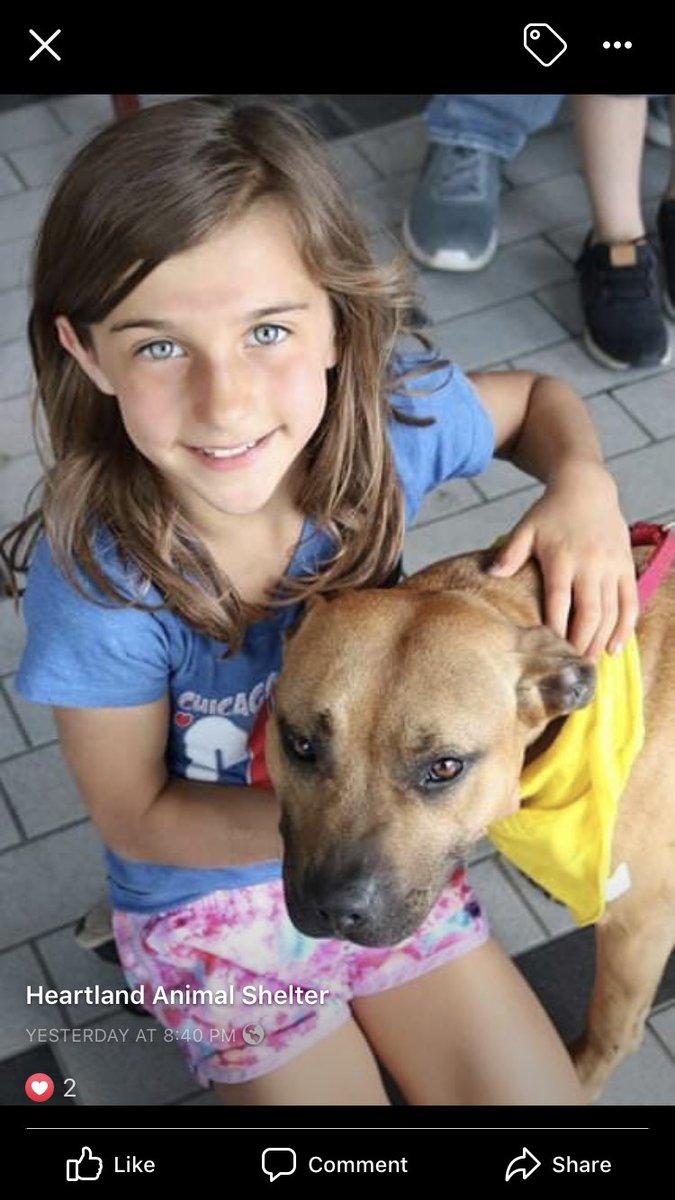 Heartland Animal Shelter tweet media