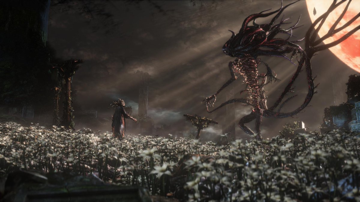 Scott Graham tweet media