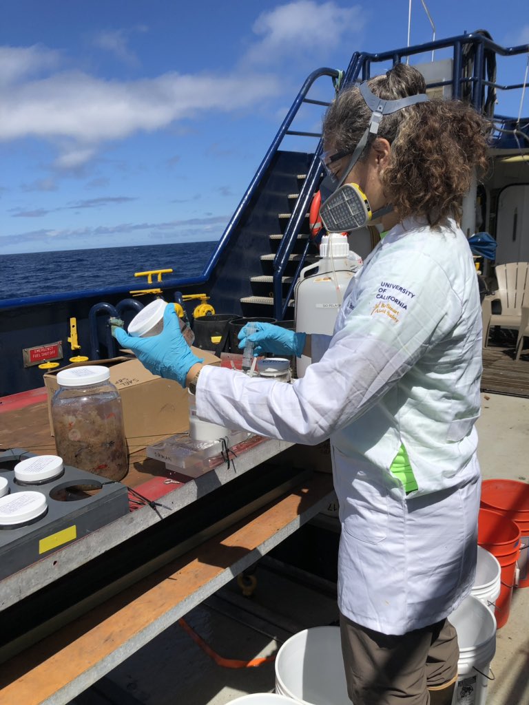 Scripps Acoustic Ecology tweet media