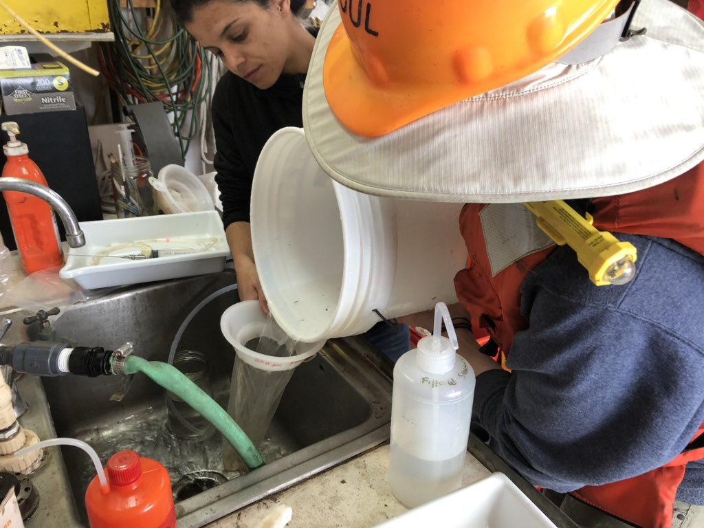 Who else’s lab has an ocean view like this? We’re done preserving what we got with the second tow and the net is back in for the final MOCNESS tow.