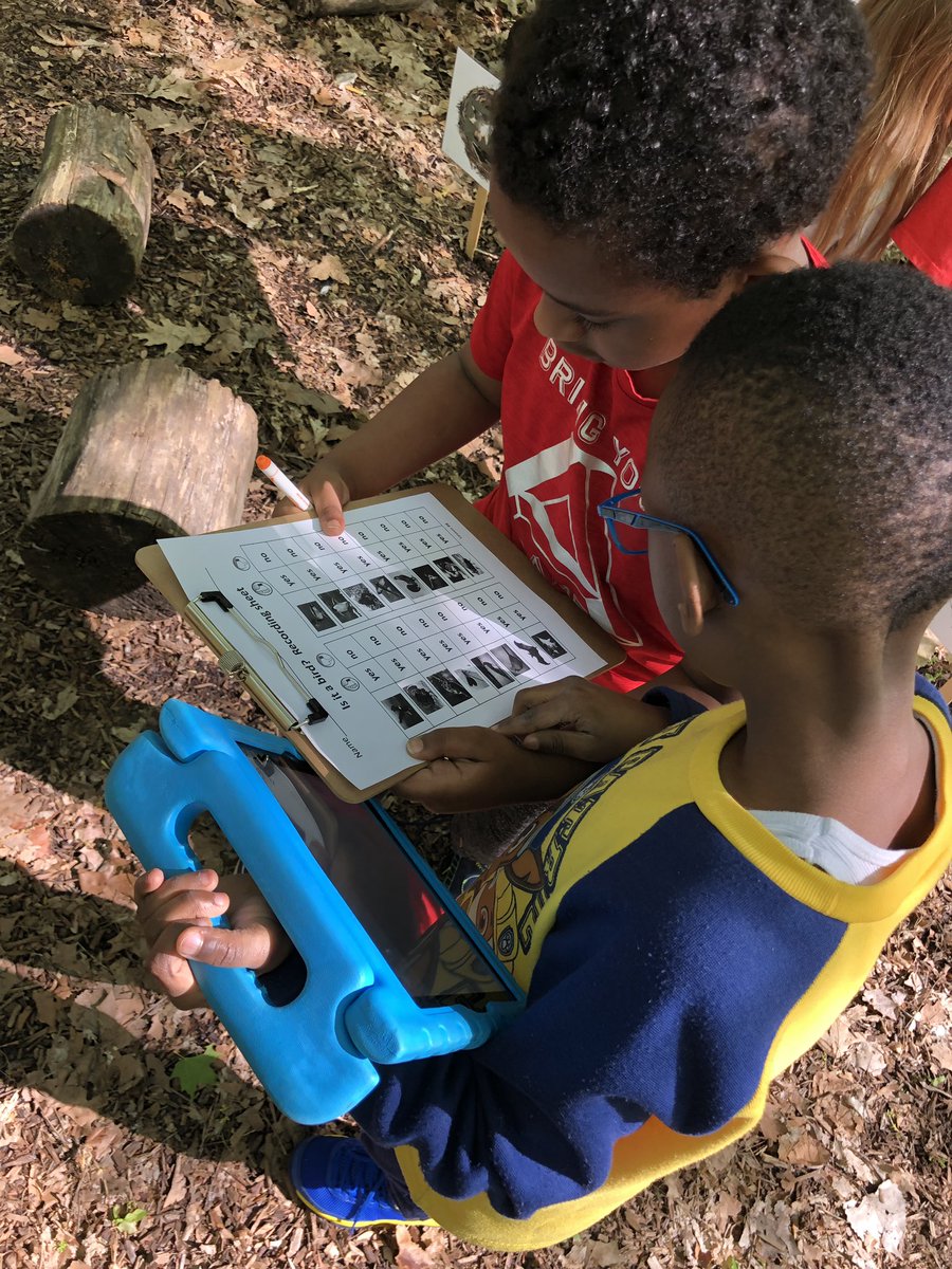 kinder_stem's tweet photo. Is it a bird? Our kinders are finding out what characteristics makes it a bird in STEM this week. We are really enjoying the sunshine in our outdoor classroom as well. ☀️🦇🦆🦅🦉🐧🐔🐤🐦 #KinderStem https://t.co/r8oIEX17zP