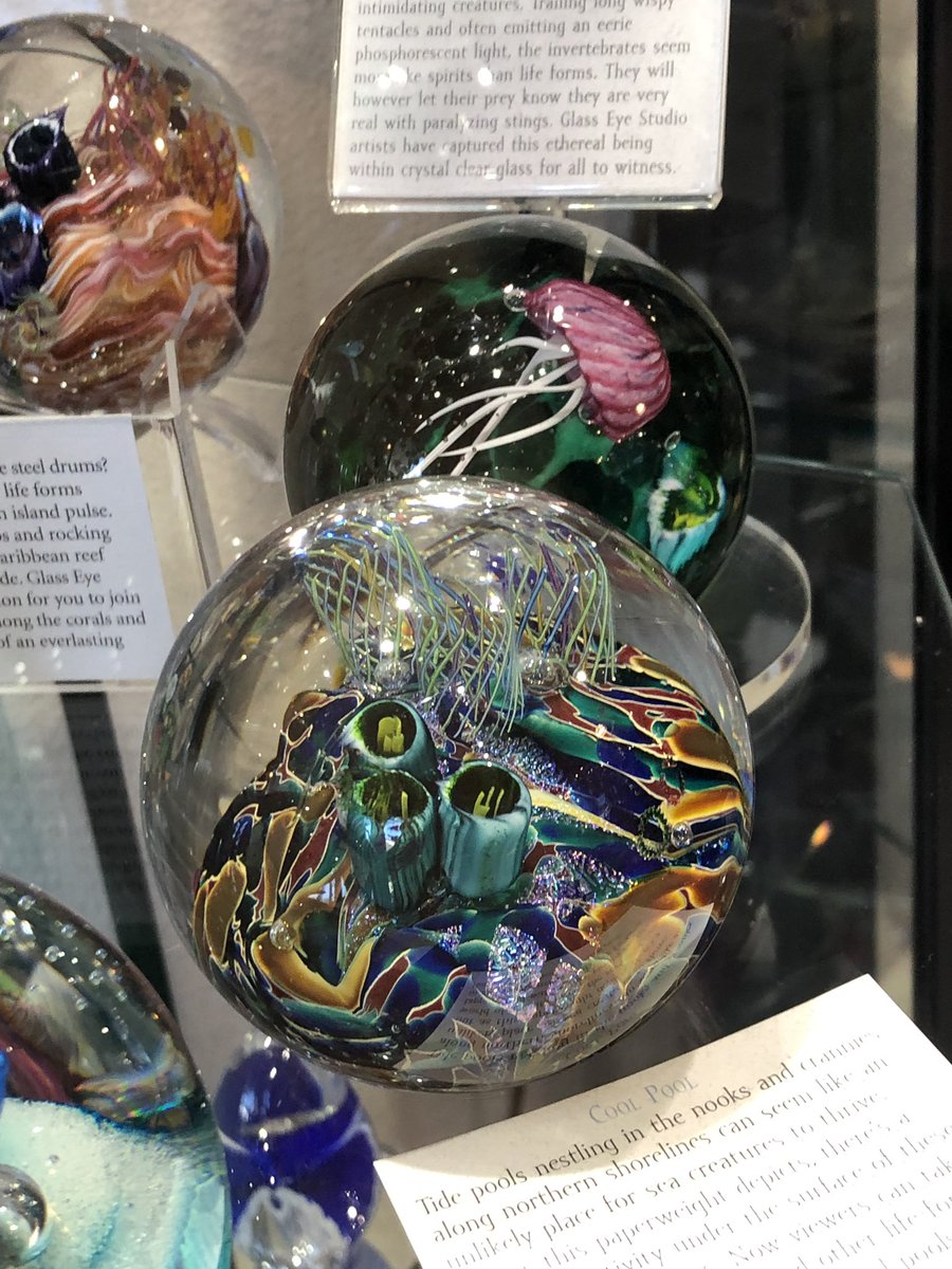 RedDaisy312's tweet image. Some inspiration from yesterday.