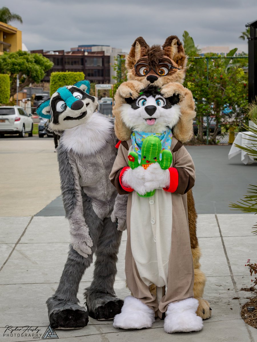 RykerHusky's tweet photo. Happy Monday everyone! Have some general convention photos from #GSFC2019 to start the week of with a blast!

https://t.co/JfY9oeXxI1 https://t.co/NHv5Oq38Ln