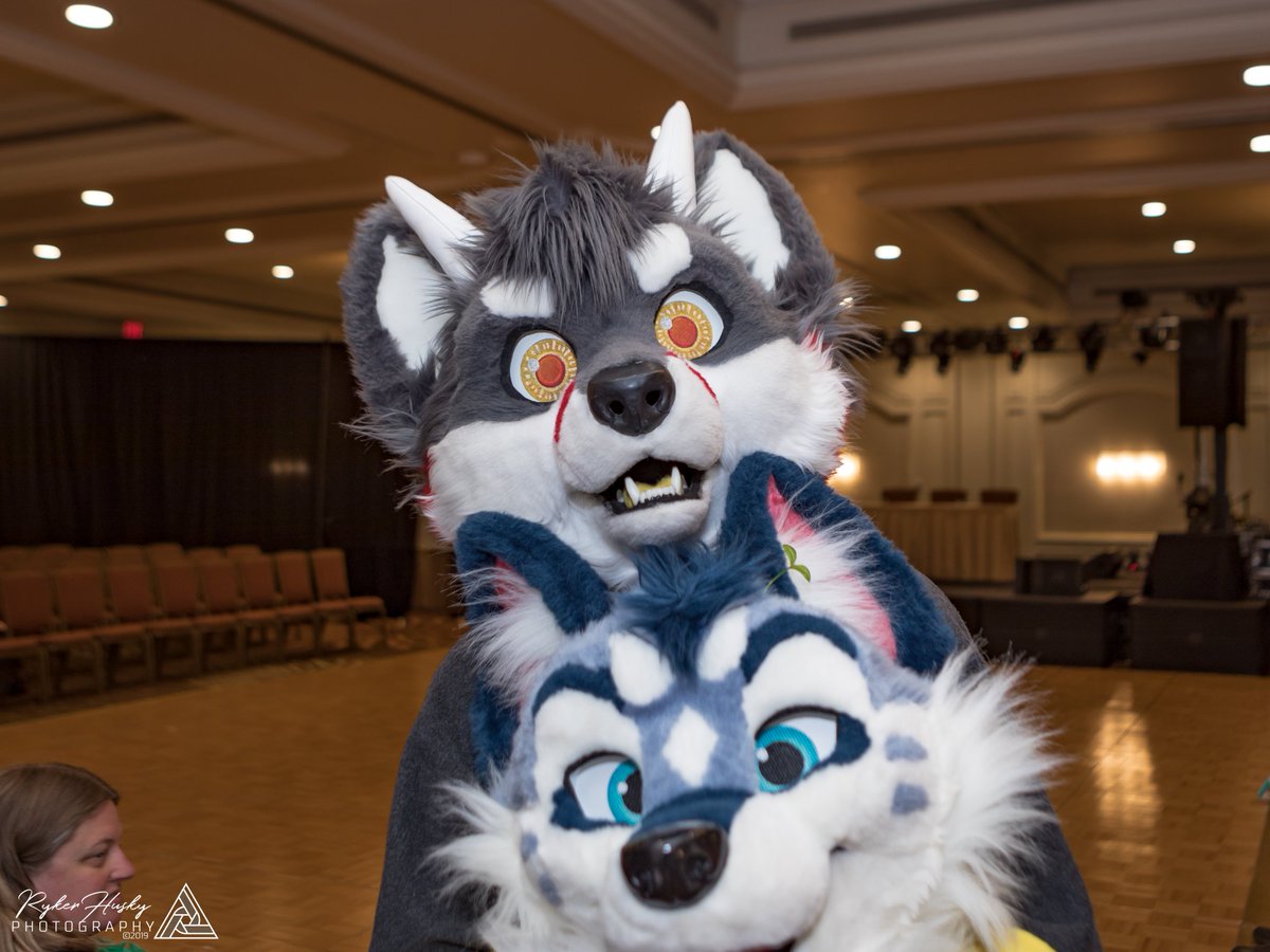 RykerHusky's tweet photo. Happy Monday everyone! Have some general convention photos from #GSFC2019 to start the week of with a blast!

https://t.co/JfY9oeXxI1 https://t.co/NHv5Oq38Ln