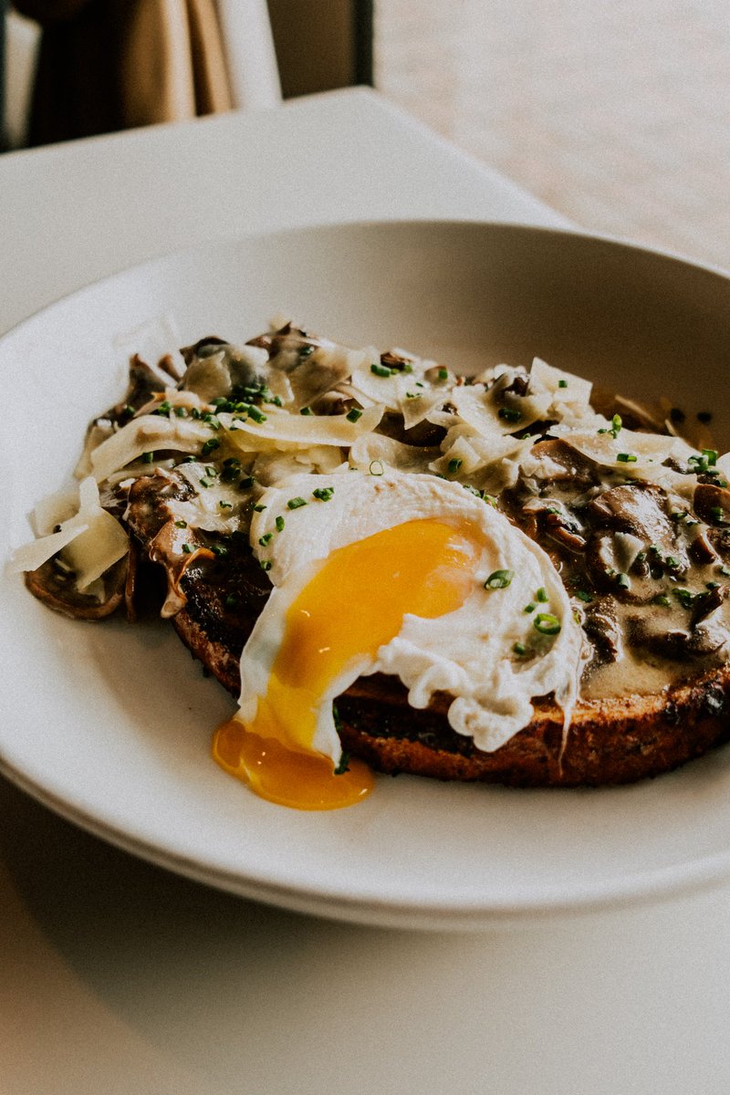 The ultimate yolk drip🔥

Foraged Mushroom Toast- seasonal wild mushrooms, locatelli, poached egg, scallion 

📸: <a href="/Eatlocalohio/">Eat Local Challenge</a>