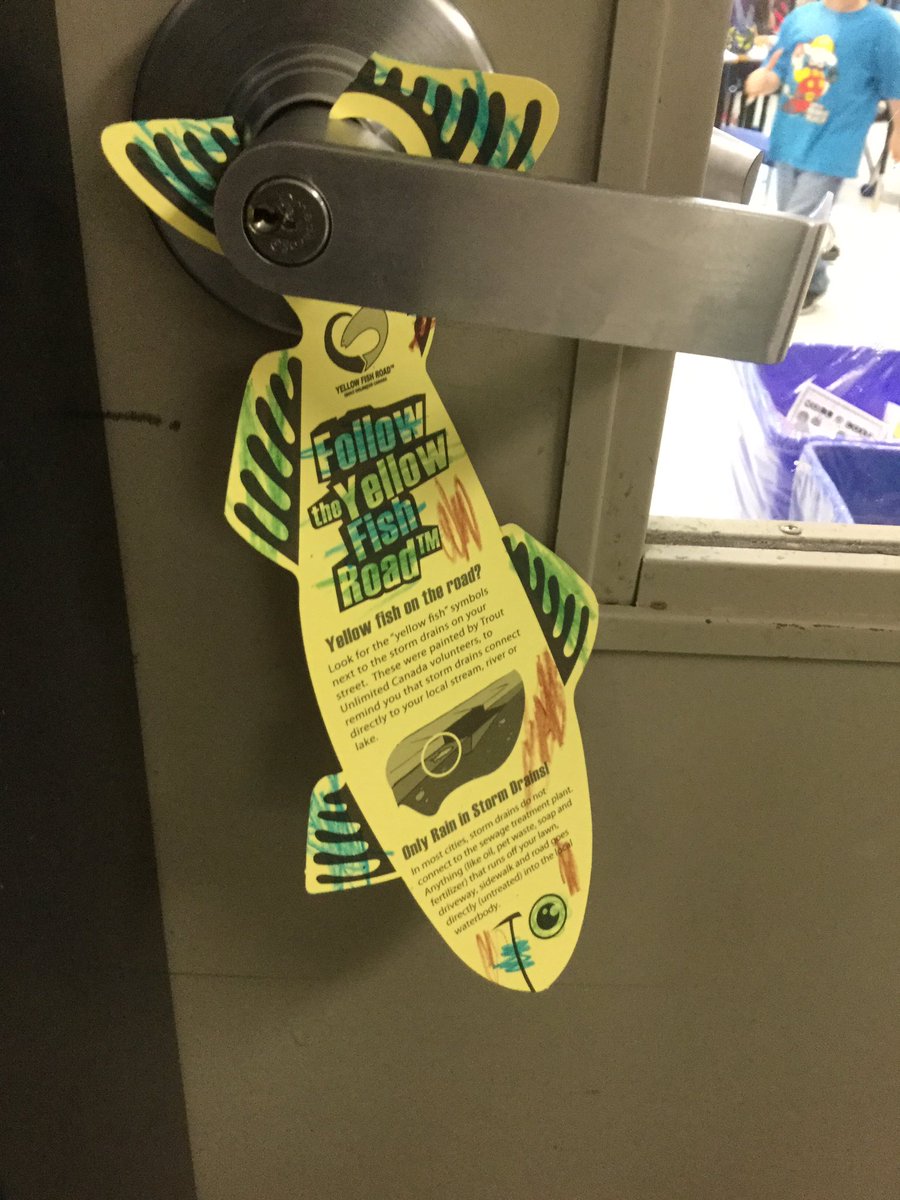 mgardner238's tweet photo. Everyone wanted to help hang the Yellow Fish doorhangers Up around the school. @TrentRiverPS #hpecompetencies @LowerTrent https://t.co/3CthDLRNDW
