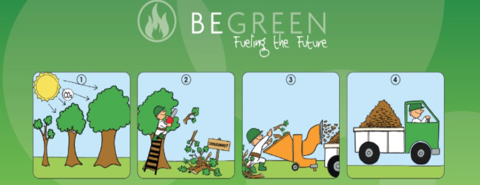 BomenAchterhoek's tweet photo. Biomassa bijstoken voor de energietransitie is contraproductief. https://t.co/JgJdaTui0W https://t.co/tueaPhNLIu