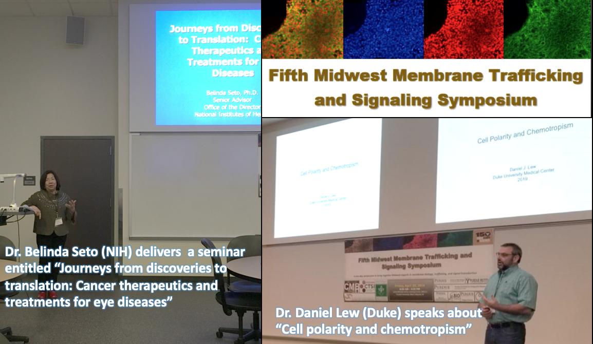 The Aguilar Lab (@purdue_aguilab) on Twitter photo A very special thanks to our key note speakers Dr. Seto and Dr. Lew! <a href="/PurdueCellMol/">Purdue Cell & Molecular Biology</a> <a href="/PurdueScience/">Purdue Science</a> <a href="/PurdueBiolSci/">Purdue Biological Sciences</a> <a href="/PurdueLifeSci/">Purdue Life Sciences</a> A very special thanks to our key note speakers Dr. Seto and Dr. Lew! <a href="/PurdueCellMol/">Purdue Cell & Molecular Biology</a> <a href="/PurdueScience/">Purdue Science</a> <a href="/PurdueBiolSci/">Purdue Biological Sciences</a> <a href="/PurdueLifeSci/">Purdue Life Sciences</a>
